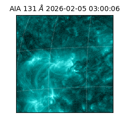 saia - 2026-02-05T03:00:06.630000