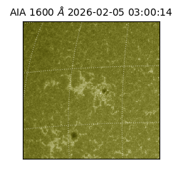 saia - 2026-02-05T03:00:14.126000