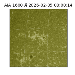 saia - 2026-02-05T08:00:14.125000