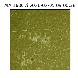 saia - 2026-02-05T09:00:38.121000