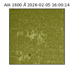 saia - 2026-02-05T16:00:14.126000