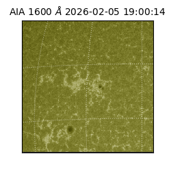 saia - 2026-02-05T19:00:14.133000