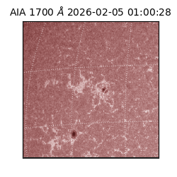 saia - 2026-02-05T01:00:28.721000