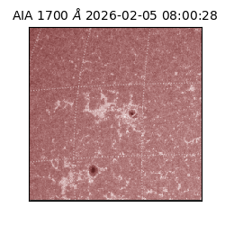 saia - 2026-02-05T08:00:28.721000