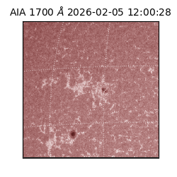 saia - 2026-02-05T12:00:28.737000