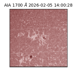 saia - 2026-02-05T14:00:28.710000