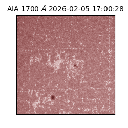 saia - 2026-02-05T17:00:28.718000