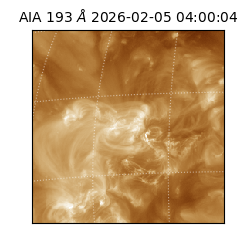 saia - 2026-02-05T04:00:04.843000