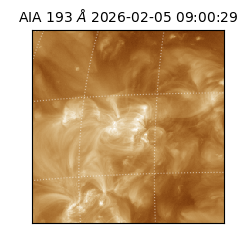 saia - 2026-02-05T09:00:29.619000