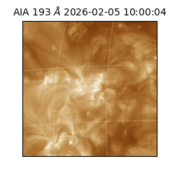 saia - 2026-02-05T10:00:04.842000