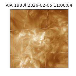 saia - 2026-02-05T11:00:04.843000