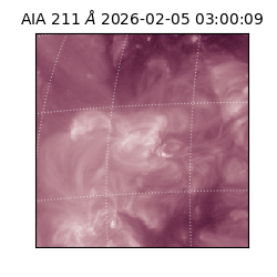 saia - 2026-02-05T03:00:09.640000