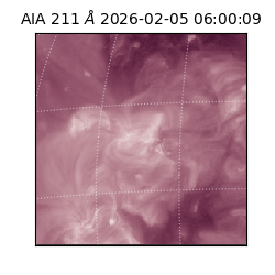 saia - 2026-02-05T06:00:09.626000