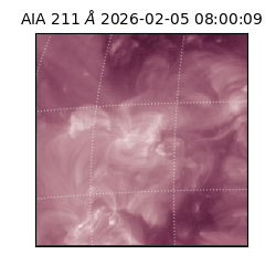 saia - 2026-02-05T08:00:09.619000