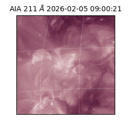 saia - 2026-02-05T09:00:21.630000