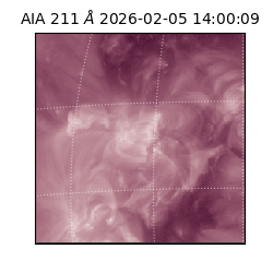 saia - 2026-02-05T14:00:09.619000