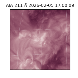 saia - 2026-02-05T17:00:09.629000