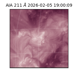 saia - 2026-02-05T19:00:09.626000