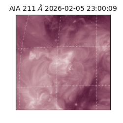 saia - 2026-02-05T23:00:09.632000