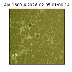 saia - 2026-02-05T01:00:14.118000