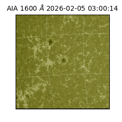 saia - 2026-02-05T03:00:14.126000