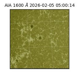 saia - 2026-02-05T05:00:14.118000