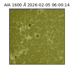 saia - 2026-02-05T06:00:14.131000