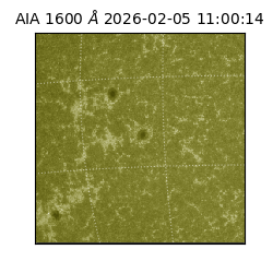 saia - 2026-02-05T11:00:14.126000