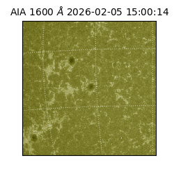 saia - 2026-02-05T15:00:14.125000