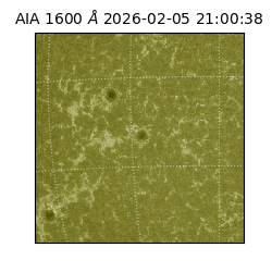 saia - 2026-02-05T21:00:38.125000