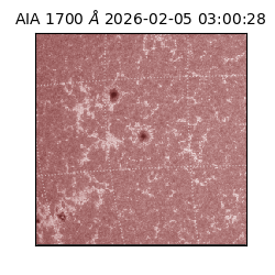 saia - 2026-02-05T03:00:28.720000