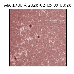 saia - 2026-02-05T09:00:28.709000