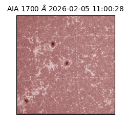 saia - 2026-02-05T11:00:28.710000