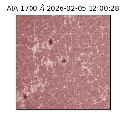 saia - 2026-02-05T12:00:28.737000