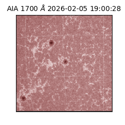 saia - 2026-02-05T19:00:28.710000