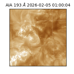 saia - 2026-02-05T01:00:04.835000