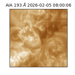 saia - 2026-02-05T08:00:06.800000