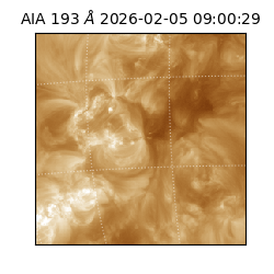 saia - 2026-02-05T09:00:29.619000