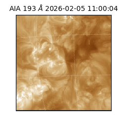 saia - 2026-02-05T11:00:04.843000