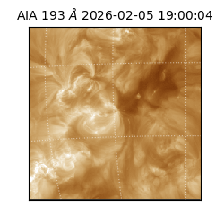 saia - 2026-02-05T19:00:04.843000