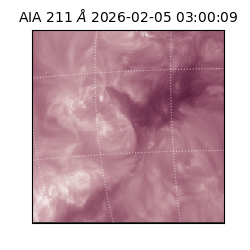 saia - 2026-02-05T03:00:09.640000