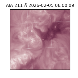 saia - 2026-02-05T06:00:09.626000