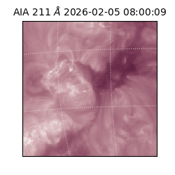 saia - 2026-02-05T08:00:09.619000