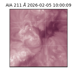 saia - 2026-02-05T10:00:09.630000