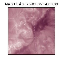 saia - 2026-02-05T14:00:09.619000