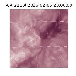 saia - 2026-02-05T23:00:09.632000