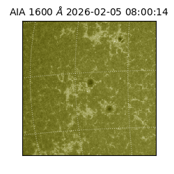 saia - 2026-02-05T08:00:14.125000