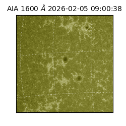 saia - 2026-02-05T09:00:38.121000