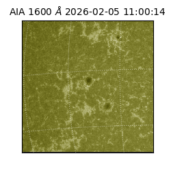 saia - 2026-02-05T11:00:14.126000