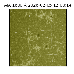 saia - 2026-02-05T12:00:14.118000